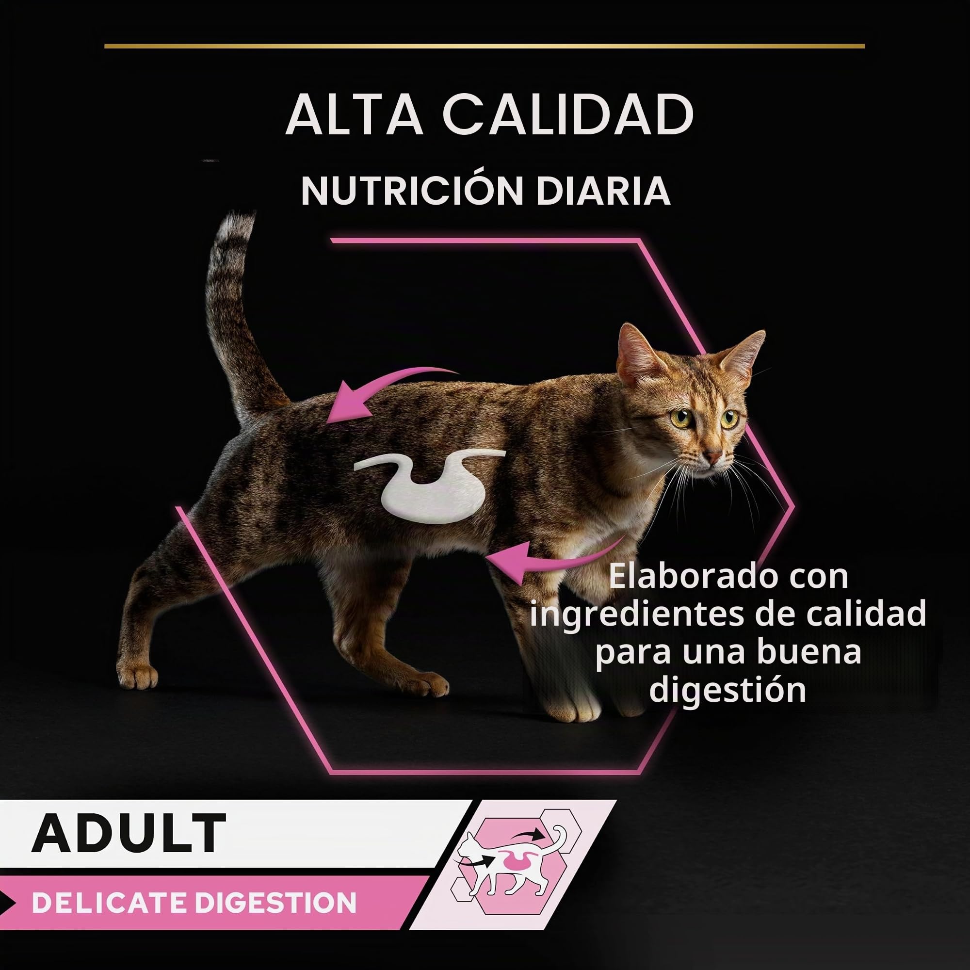 Pro Plan Adulto Delicado Digestión Pavo Pescado Salsa 40x85g