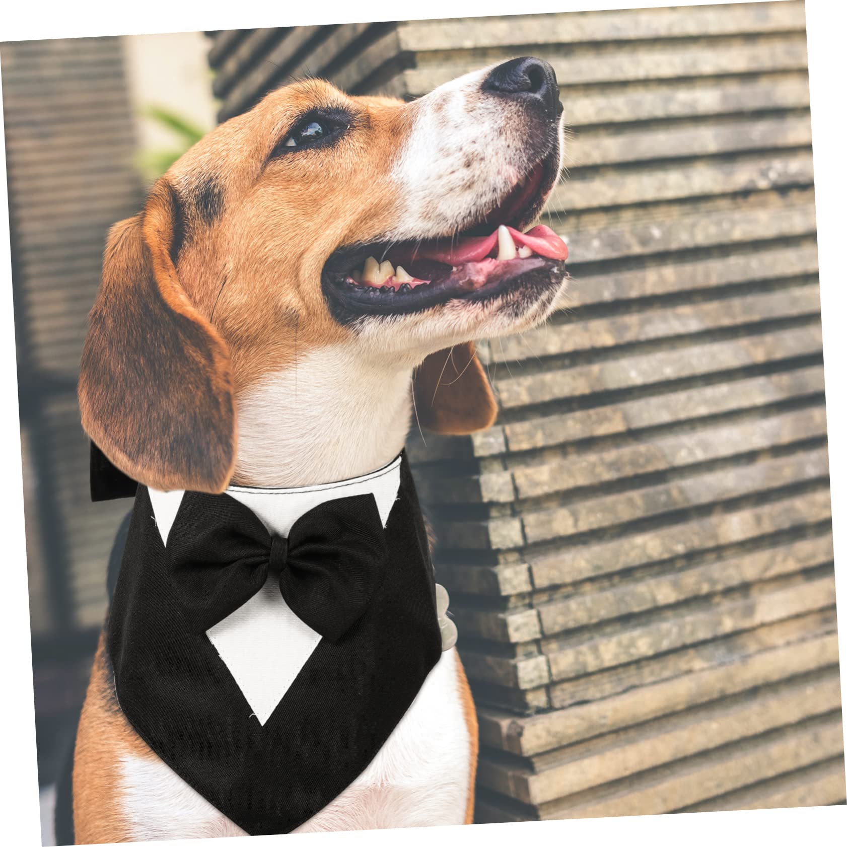 FOMIYES Lot De 5 Foulards Élégants pour Chien Nœud Bandana Accessoire pour Sorties Et Événements