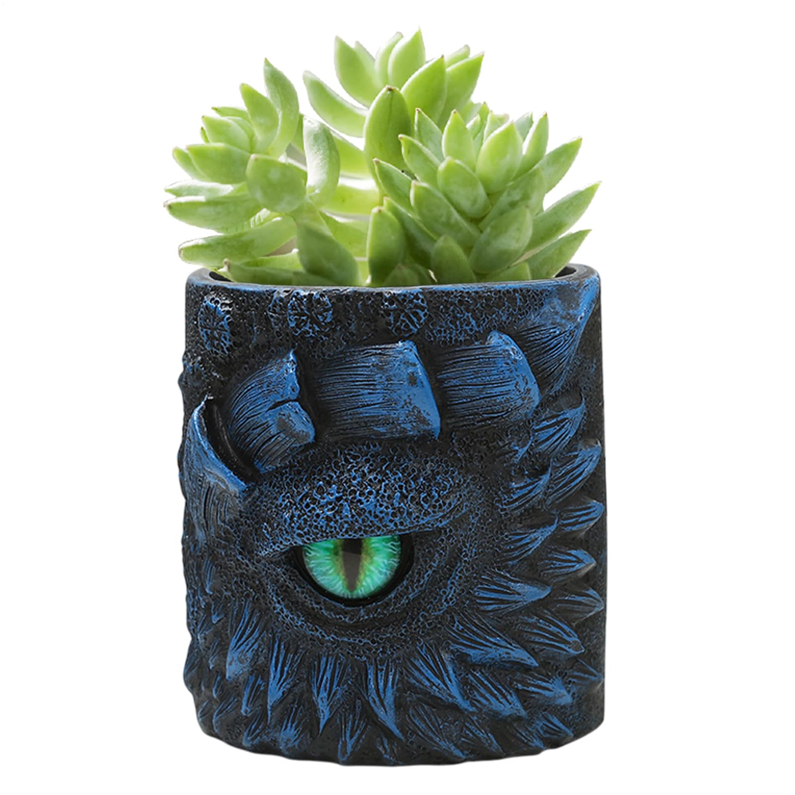 Pot de fleurs œil de dragon pour remplacer un vase triste par une déco fantaisie