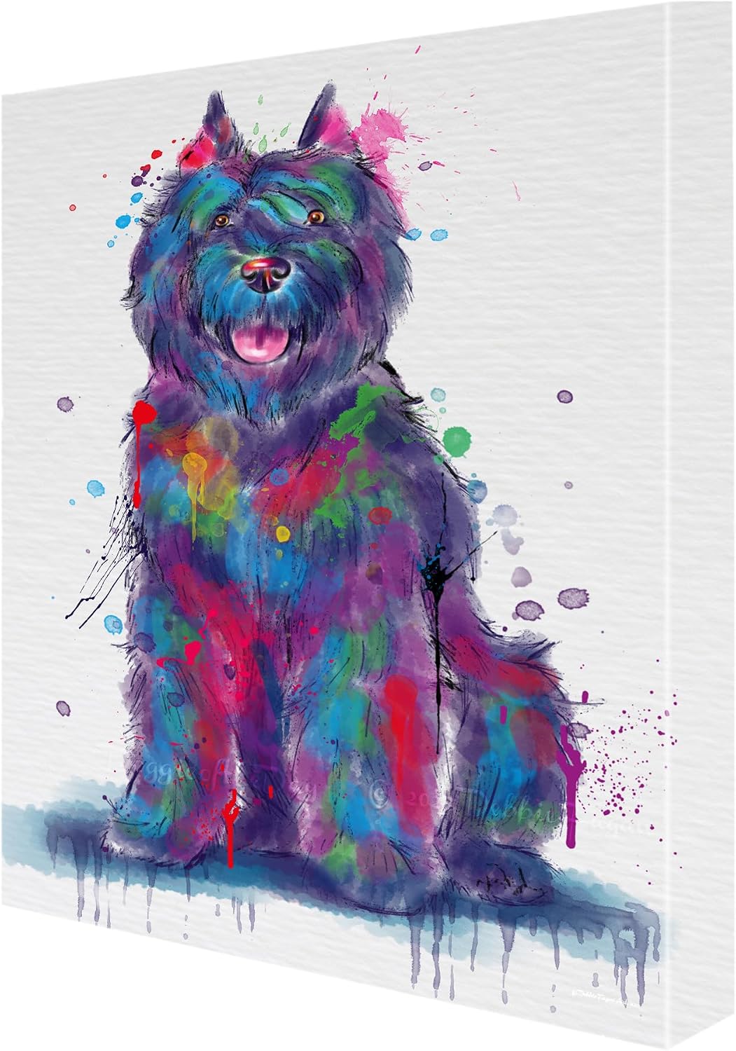 Doggie of the Day Watercolor with Bouviers des Flandres Dogs Canvas Wall Art - Premium Quality Ready to Hang Room Decor - Flat Rolled 16" x 24"