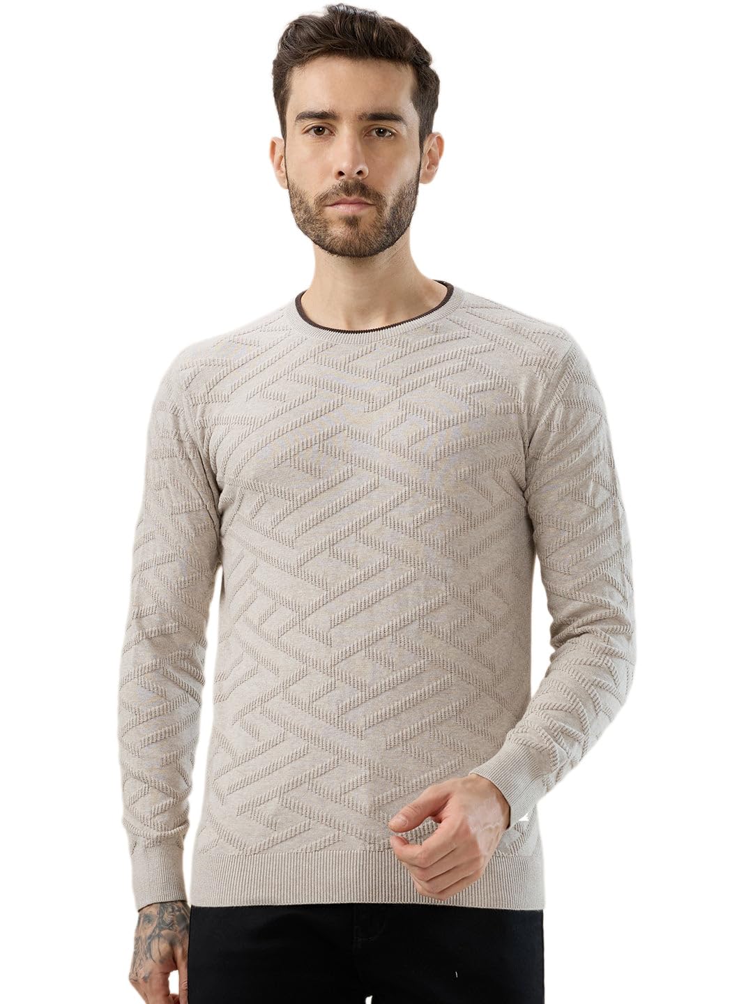 status quo Men's Solid Geometric Textured Round Neck Full Sleeve Regular Fit Sweater-picture-15
