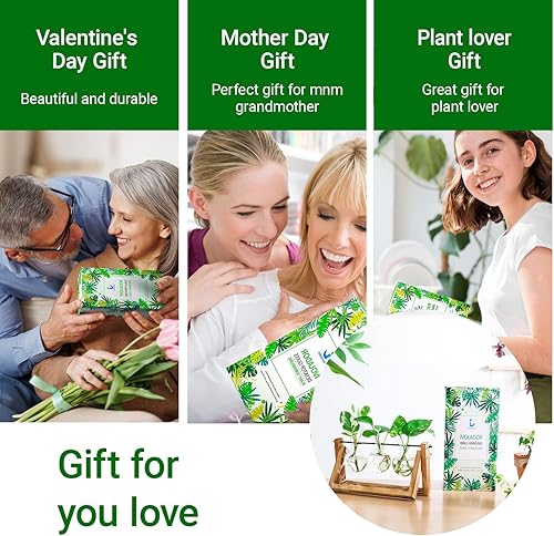 Miniatura 23 de Ivolador - Terrario de cristal colgante, maceta para plantas hidropónicas, decoración para el hogar