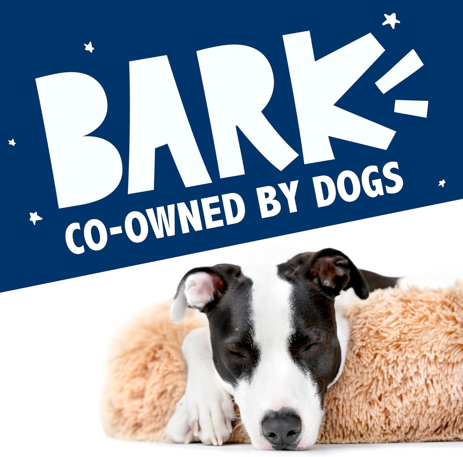 Barkbox Dog Bed, 2-in-1 Memory Foam Donut Cuddler Dog and Cat Bed, Calming Orthopedic Joint Relief Fur Crate Lounger for Pets, Machine Washable + Removable Cover, Waterproof Lining, Includes Toy