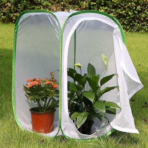 Miniatura 3 de RESTCLOUD - Jaula de hábitat para insectos y mariposas, 23.6 pulgadas de alto Blanco con verde