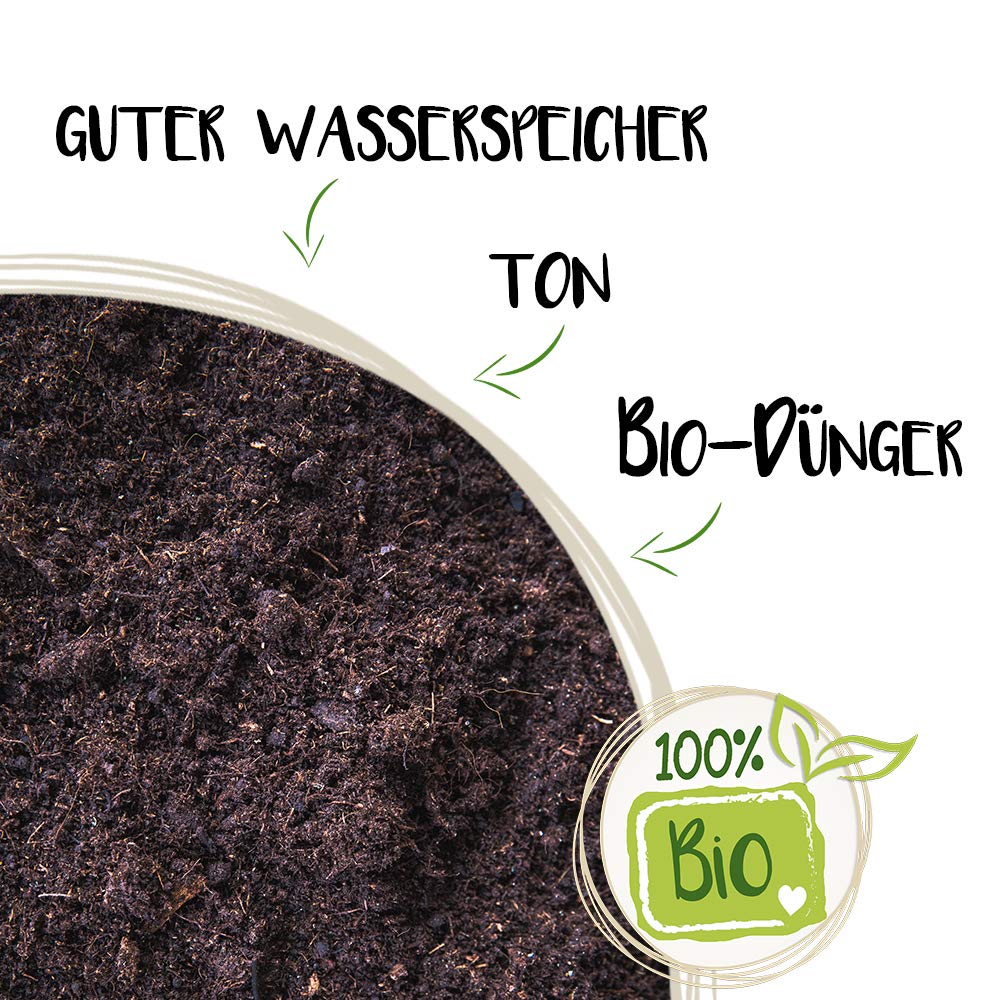 Hochbeeterde Palette (51x45 l) mit hervorragender Wasserspeicherfähigkeit Braun 2295 L