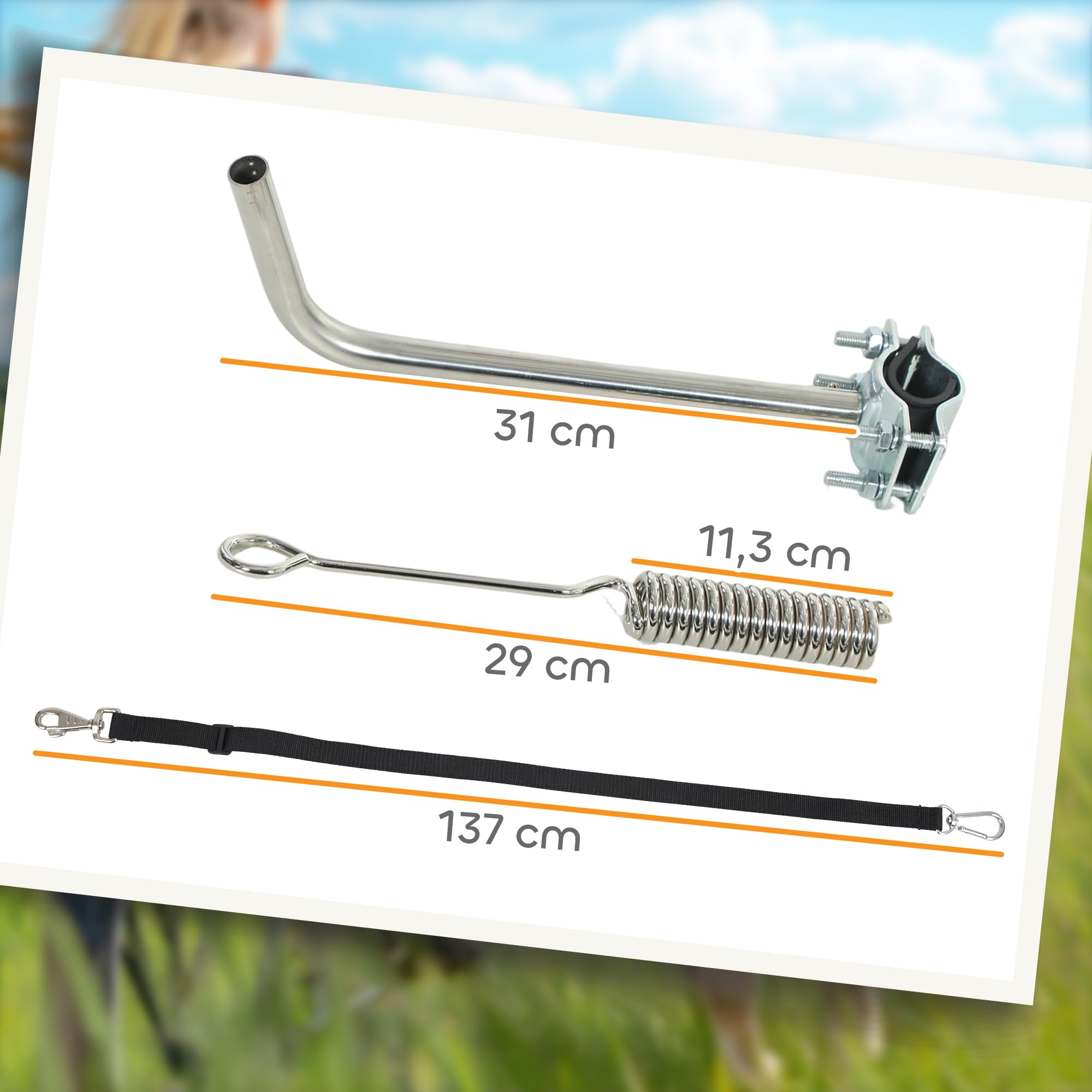 PawHut Laisse de Vélo pour Chien 180 cm en INOX, Fixation Rapide, Ressort Amortisseur, Sangle Ajustable, Vélo pour Chien Mains Libres, Laisse d'exercice pour Entraînement Jogging Cyclisme, Argent
