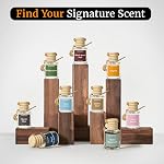 Car Air Freshener Hanging, 2 Pack Car Air Fresheners Diffuser - White Tea Fragrance Oil Air Diffuser for Car, Long Lasting Fragrance Inspired by Shangri-La Hotel