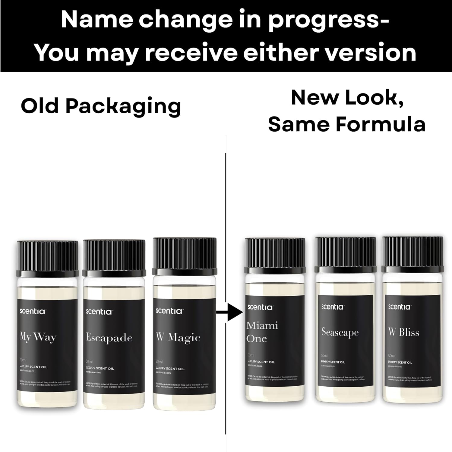 Scentia Premium Fragrance Discovery Kit | Aromatherapy Fragrances Inspired by 5-Star Stays| Luxurious Scents Gift Box Set - 3 x 50 ml - The 1 Hotel Miami Beach, W Magic - Made in USA - Image 2