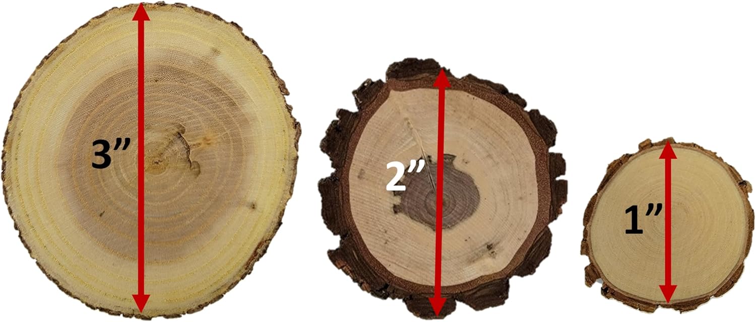 Wood Slice Variety Pack, 1" to 3", Qty of 50 Unfinished Natural Assorted Wood Rounds, Black Walnut, Red Cedar, Maple, Oak, DIY Crafts, Pyrography, Epoxy Resin Projects