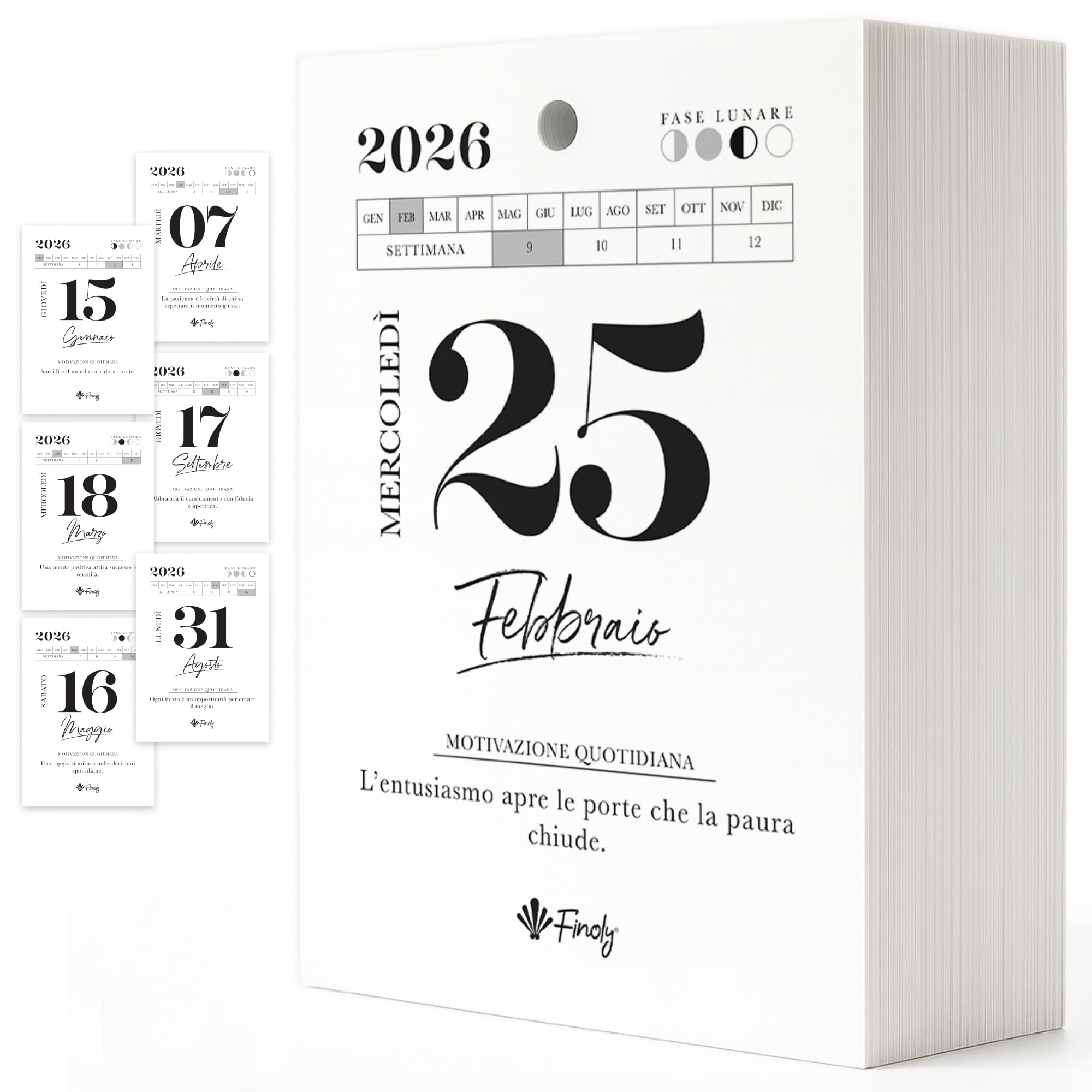 Finoly Kalender 2026 in het Frans januari 26 - december 26 (12 maanden