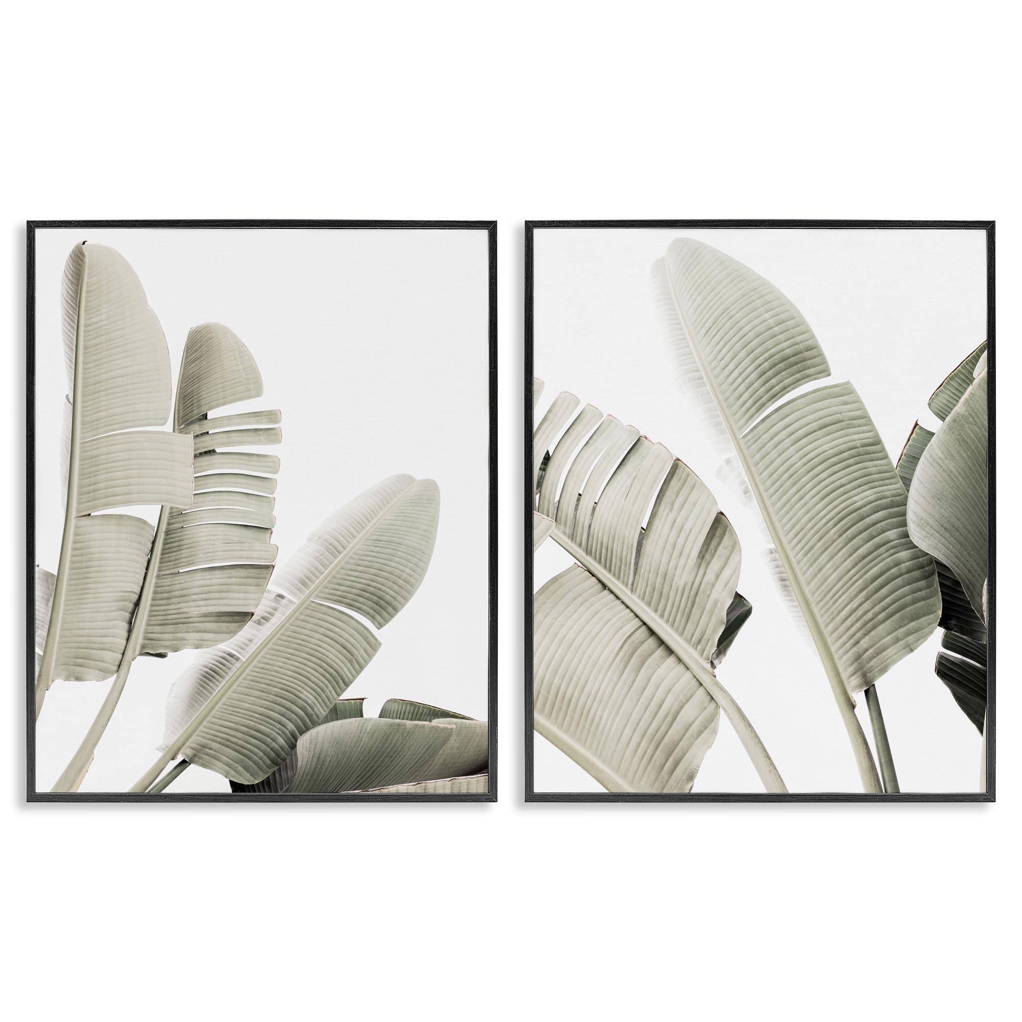 Feuilles de bananier lot de 2 tableaux nature pour déco murale moderne