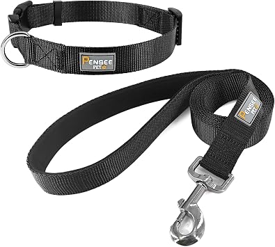 Dog Collar and Dog Leash 6 FT for Small Dogs Padded with Soft Neoprene Breathable Quick Release Basic Dog Collars and Padded Handle Dog Leashs