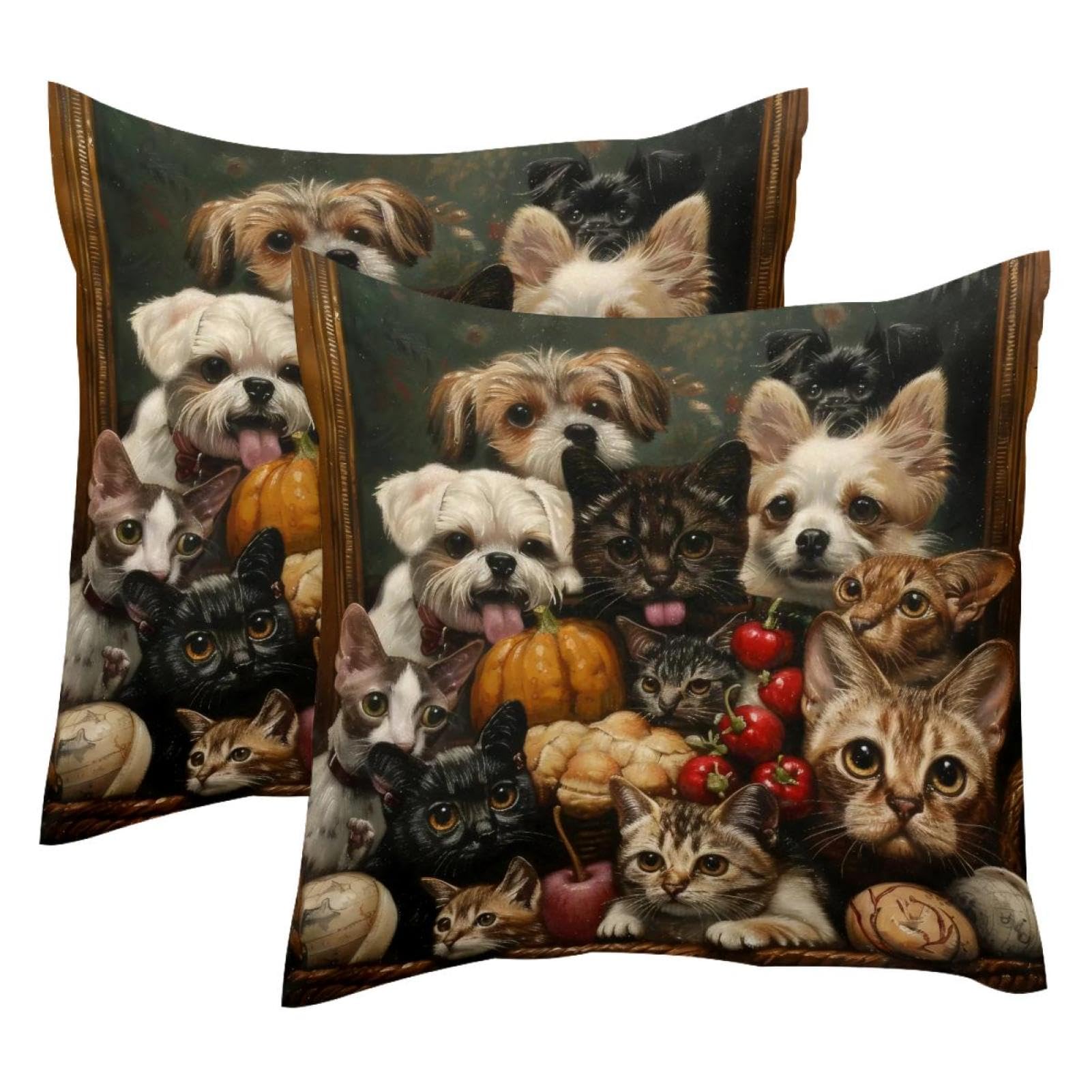 Housses de coussin velours chat chien 50x50 cm lot de 2