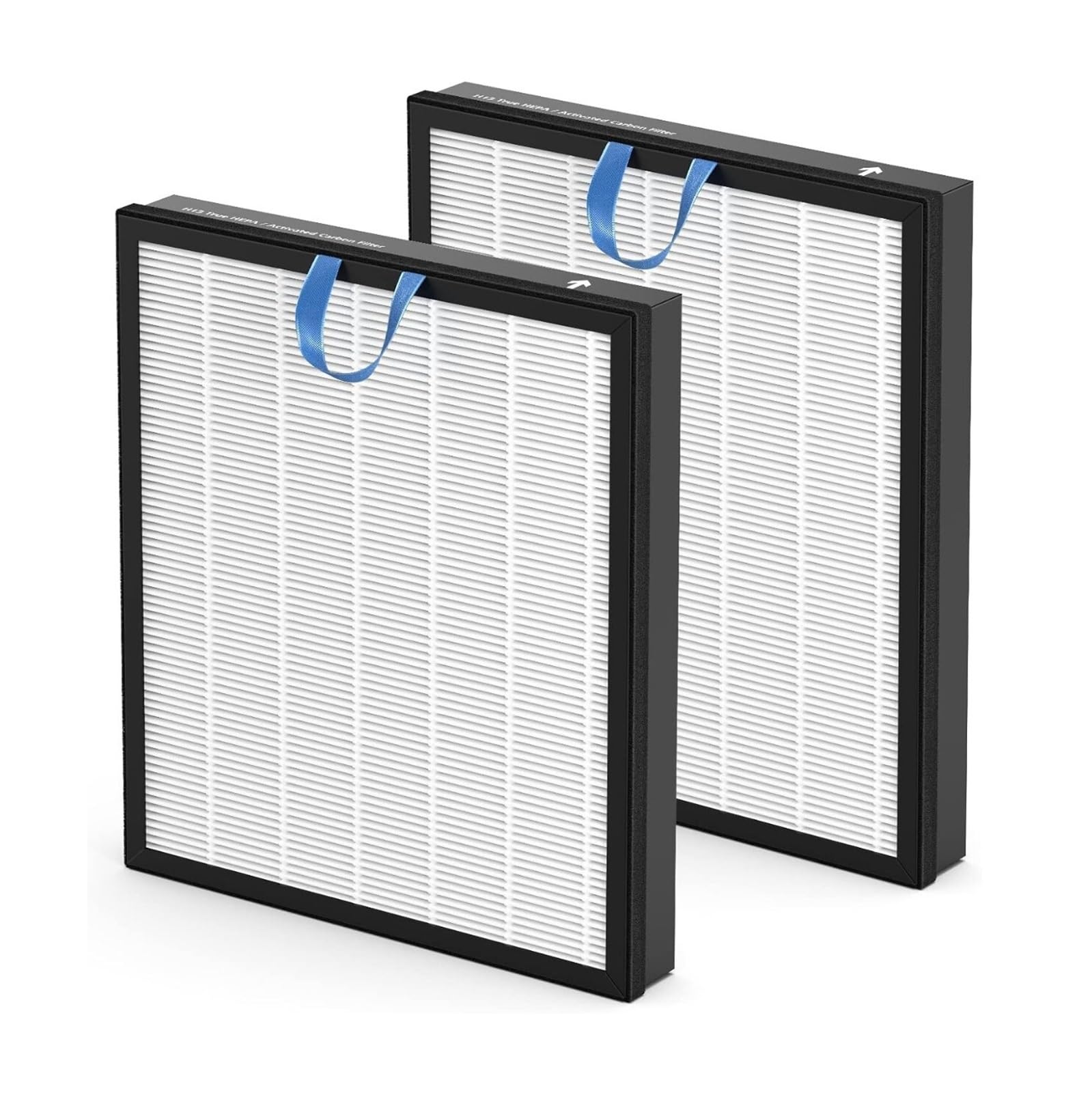 HIZON H13 HEPA and High-Efficiency Activated Carbon，