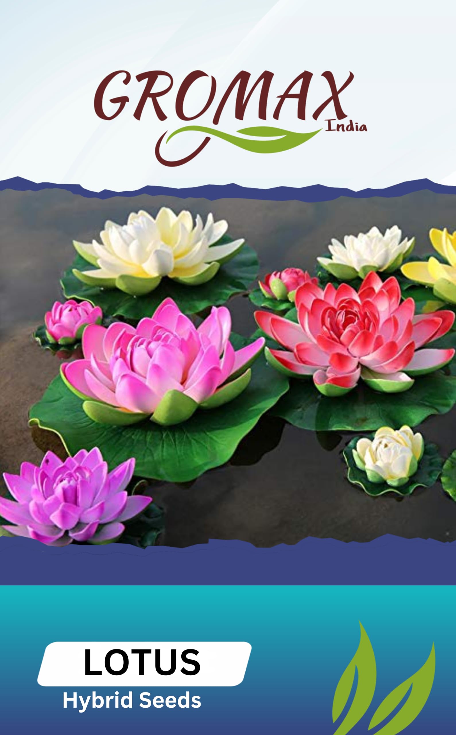 GROMAX India Lotus Flower Seeds For Planting Mixed Color "Hybrid" Seeds (10 Seeds/Packet) (B0D5VKN54T) Amazon Price History, Amazon Price Tracker