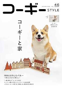 絶版新品希少　Corgi/コーギー1/72 F-4C ファントム　US33219 Amazon.co.jp: LxRx9 犬の置物 コーギー犬 子犬 いぬ A イヌ
