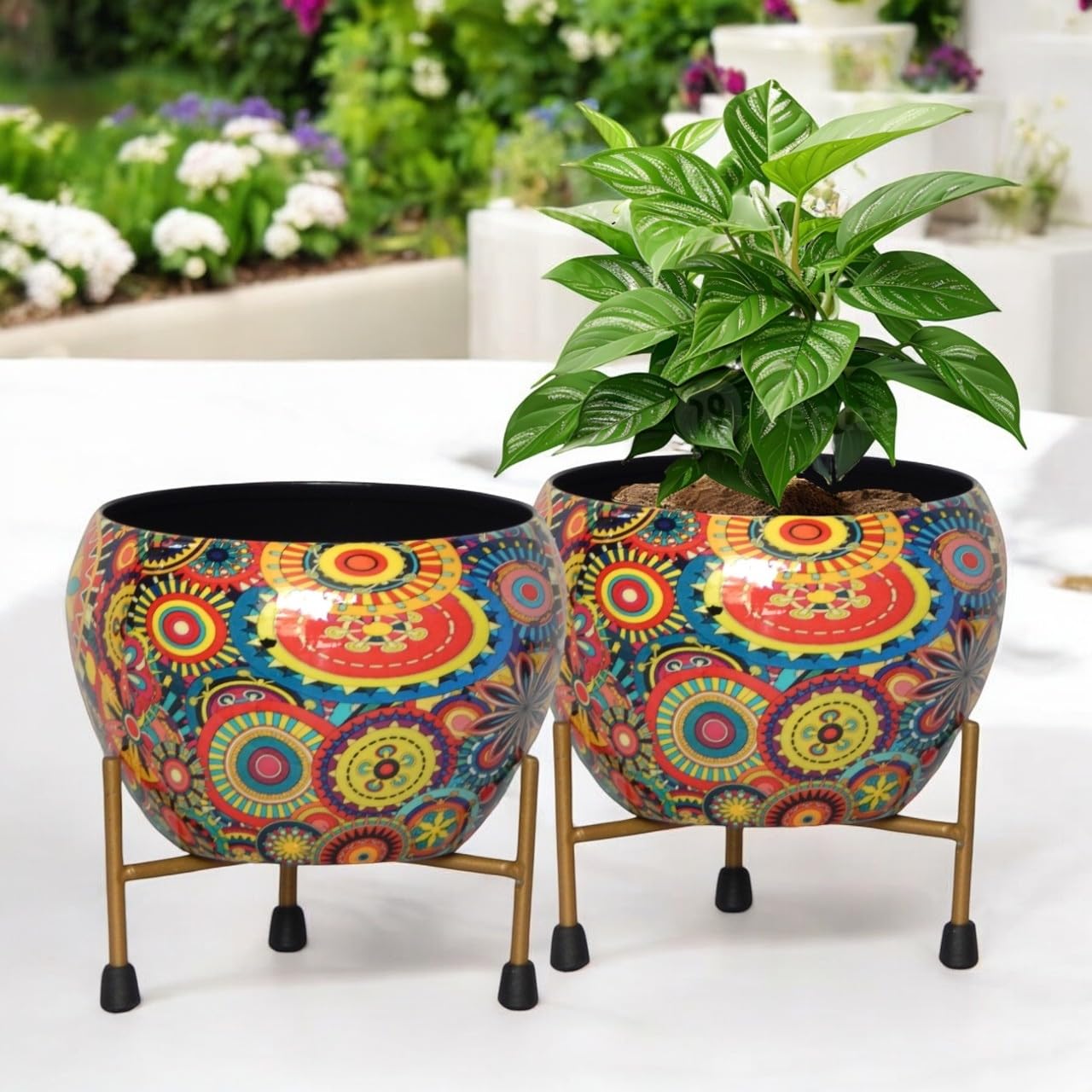 ecofynd 5 inches, Lio Designer Metal Planter Pot with Stand, Modern Style Planter Set, Indoor Outdoor Home Decor Item for Garden Plants Flower, Balcony, Living Room, Garden, Bedroom (Pack of 2) (B0BCGSZQ5C) Amazon Price History, Amazon Price Tracker