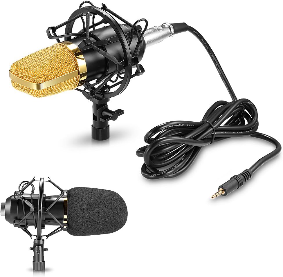 Neewer® Professional Studio Broadcasting / Recording NW-700 Condenser Microphone & NW-107 Folding Type Height Adjustable Microphone Tripod Boom Floor Stand Kit