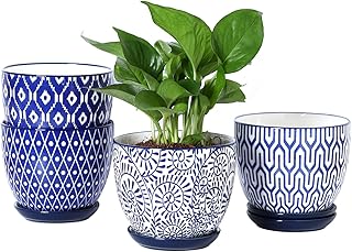 Selamica Ceramic Plant Pots, 5.6 Inch Flower Pots for Indoor Plants with...