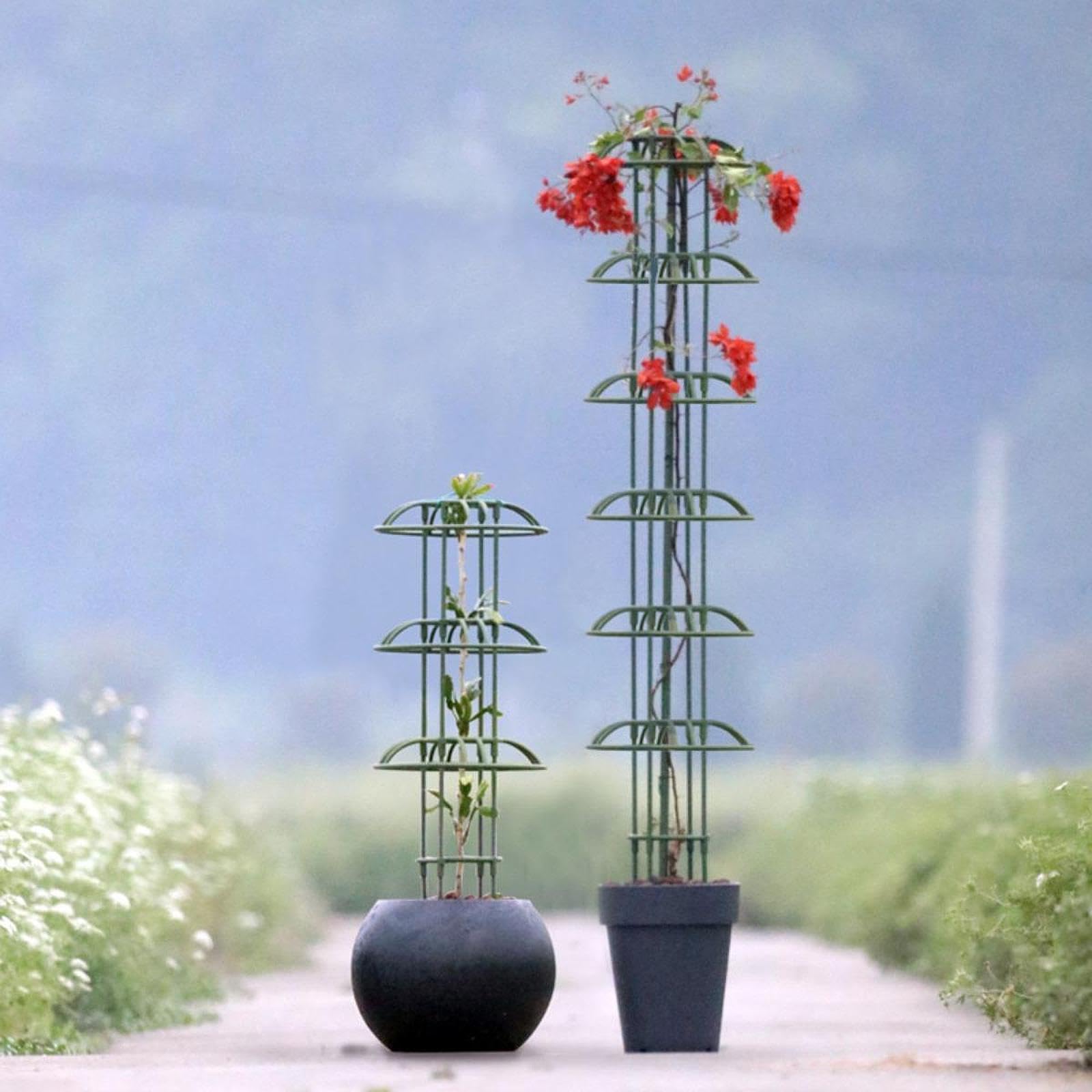 Enrejado de obelisco de jardín | Soporte de flores resistente para rosas trepadoras y vides | Marco de hierro y polipropileno de alta calidad | 110 cm de altura, 15 cm/30 cm de diámetro |
