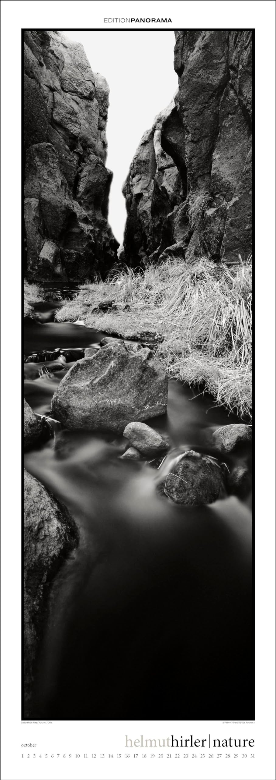 Nature: Immerwährender Vertikal-Kalender, 40 x 110 cm