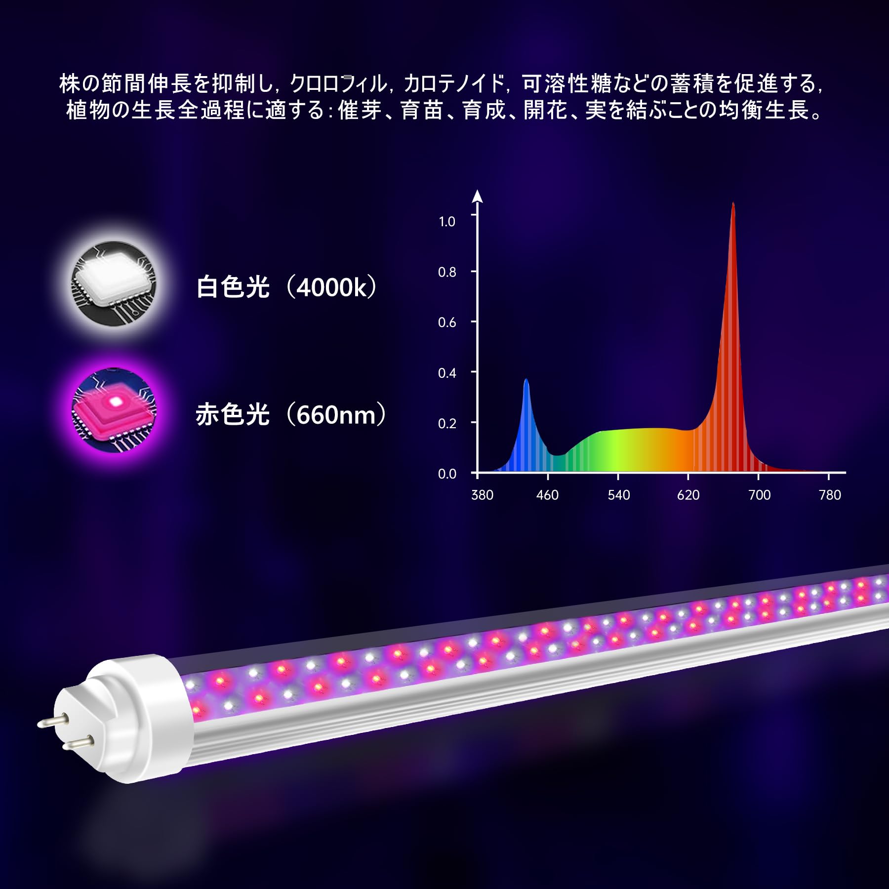 Amazon.co.jp: 植物育成ライト 20w 60cm 4Pcs 直管型 植物工場 植物