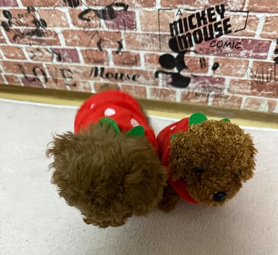 Amazon.co.jp: 【BESTEVER】プレミアムパピー Premium Puppy