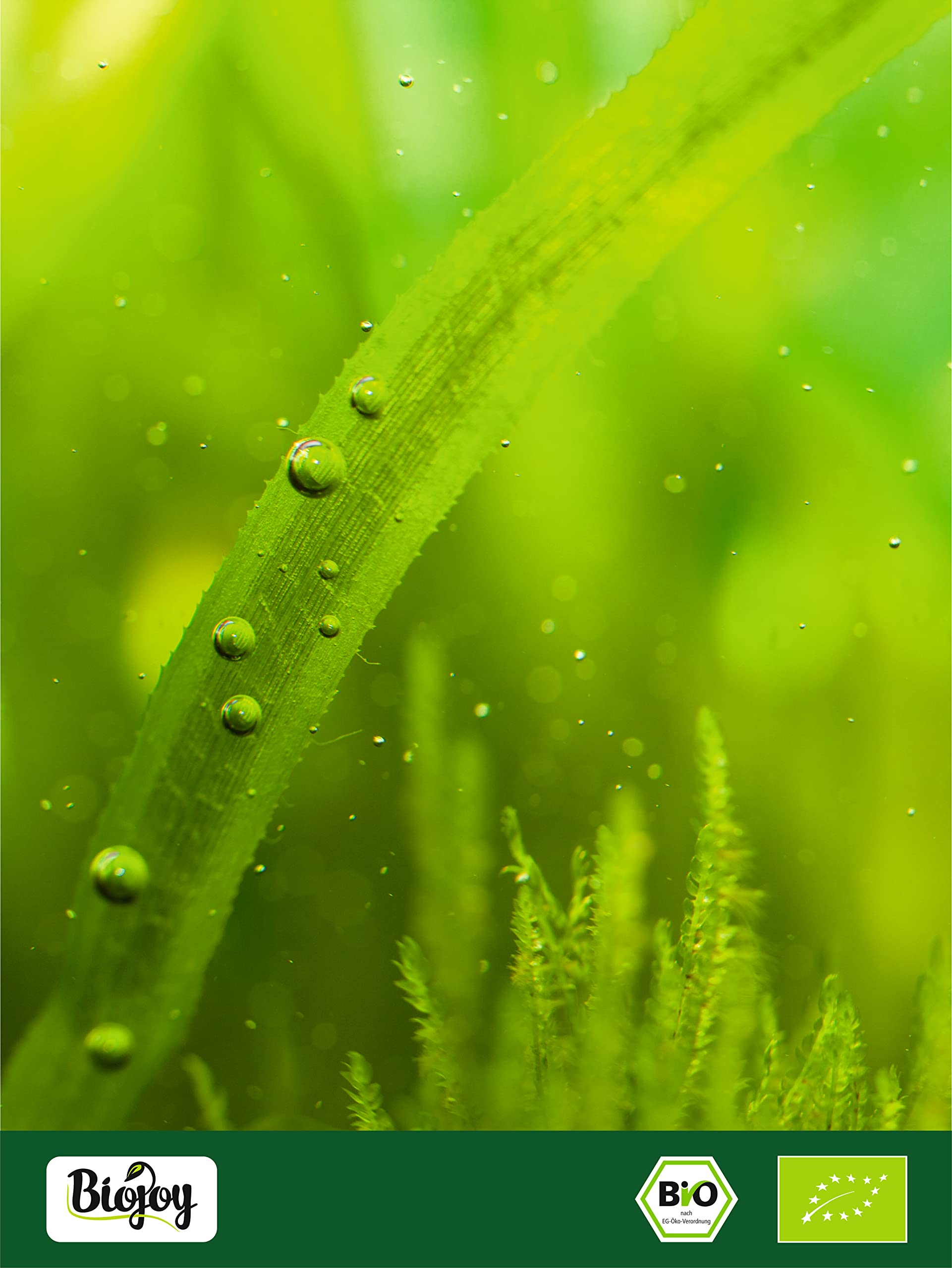 Biojoy Spirulina (Alga) Biologica in Polvere (1 kg), Pura e Senza Additivi (Arthrospira platensis)