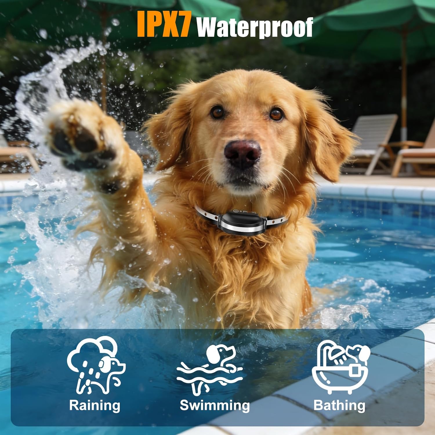 PERPETUAL No Shock Dog Vibration Collar for 2 Dogs, 3300FT Long Range, Waterproof Training Collar with 9 Beep & Vibration Modes, Black, 5-120 lbs