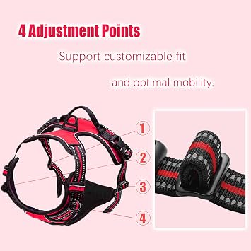 Dog Harness and Lead Set for Small Dogs Adjustable Reflective Anti Pull Pet Vest Harness for Outdoor Walking Training, Red, Small