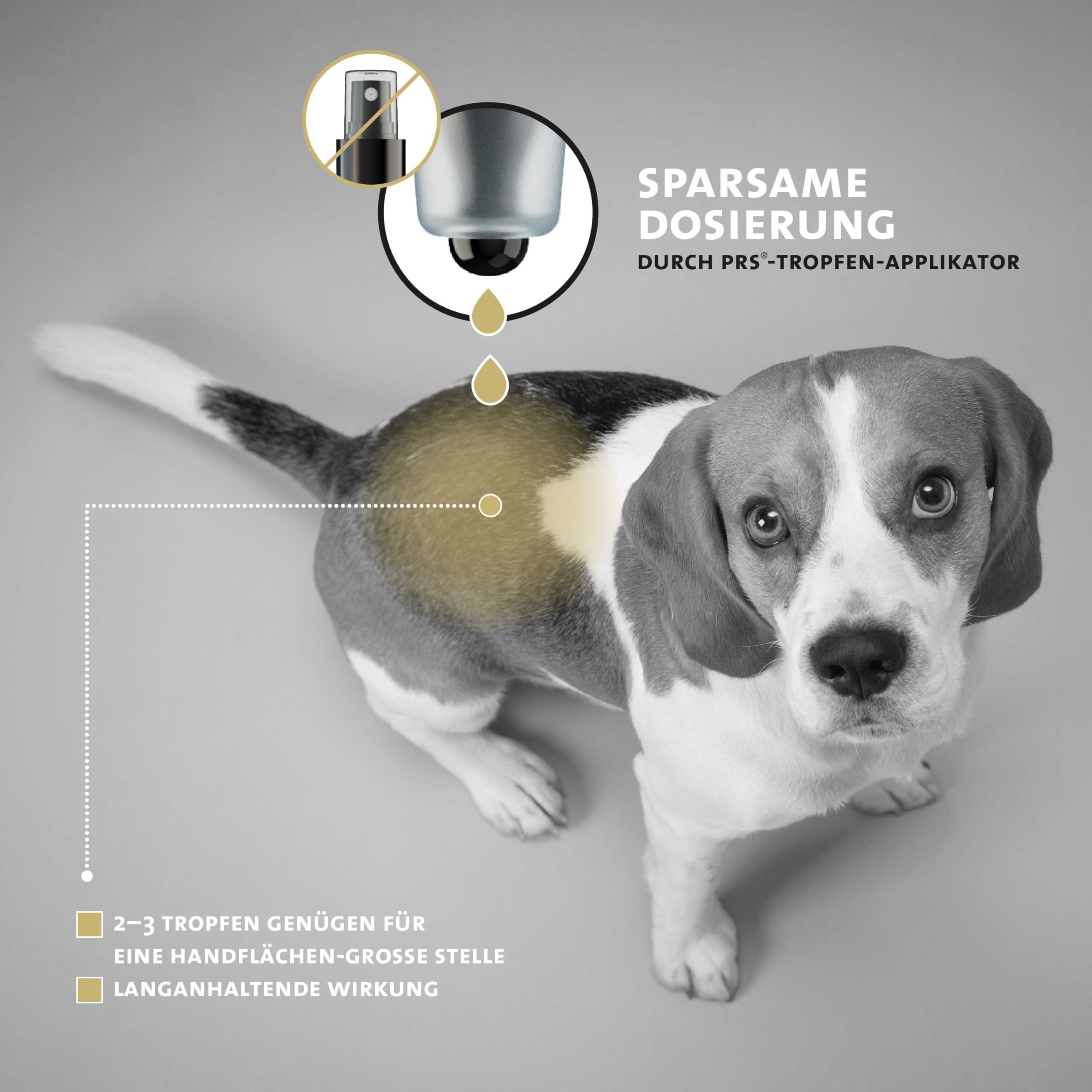 Peticare Cuidado Calmante para Piel del Perro | con Calmapsin® y Aloe Vera | Apoya el Confort cutáneo y la hidratación | Aplicación precisa con tecnología PRS® de liberación | petDog Health 2190