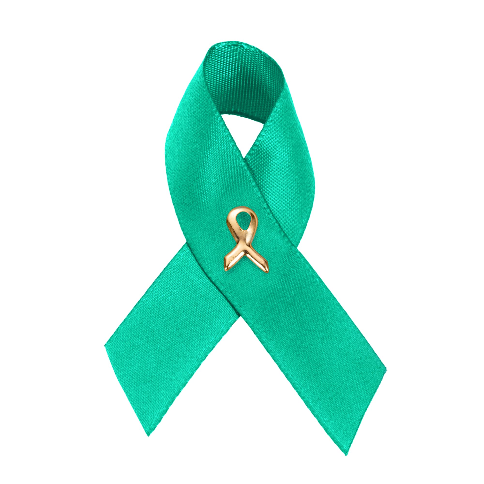 1/2/5/10/25/50/100pcs Satin Awareness Ribbon Pins (Pick your color), for Cancer &amp; Disease Awareness, Bulk Quantities for Fundraising, Events, Gift Giving