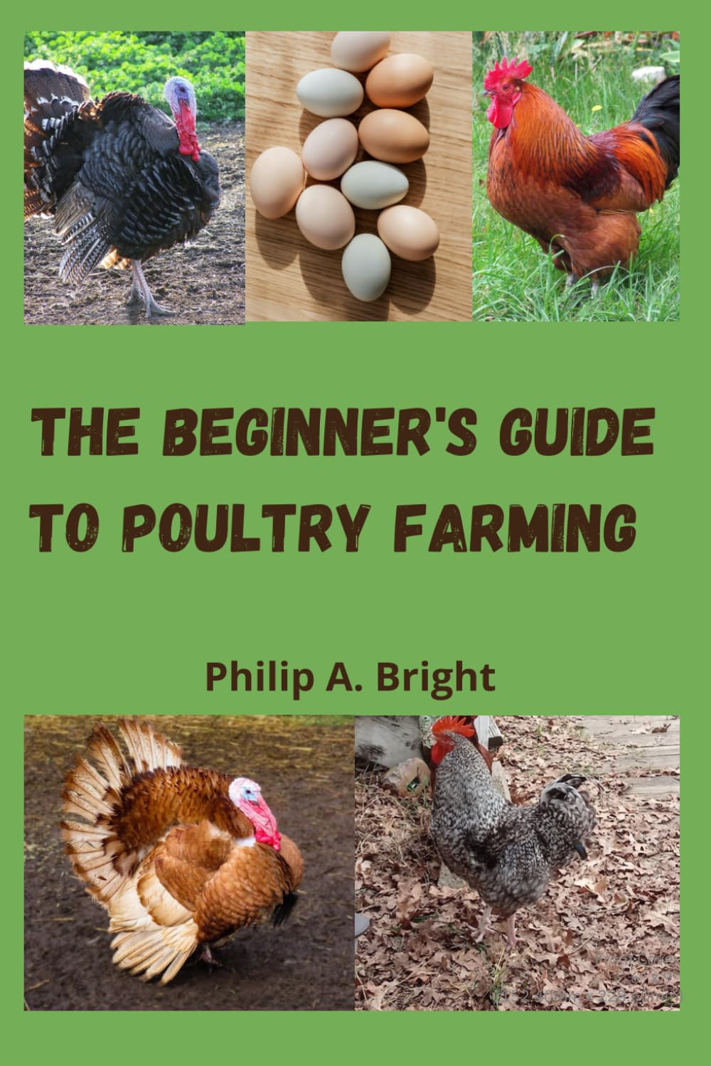 The beginner's guide to poultry farming: How to start a profitable chicken and turkey business