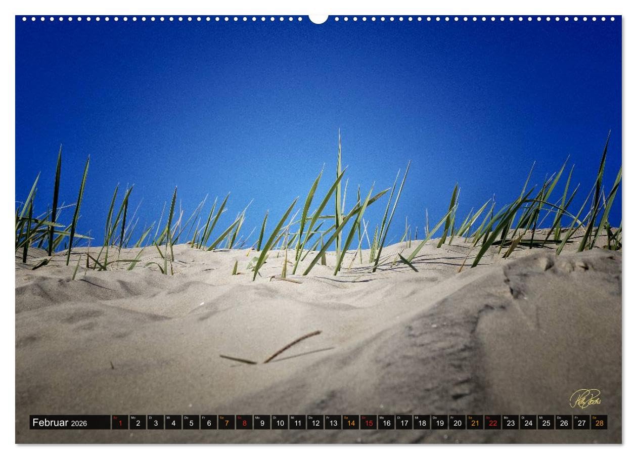 Nordsee-Dünen (Wandkalender 2026 DIN A2 quer), CALVENDO Monatskalender: Peter Roder folgen Sie dem Fotokünstler in die Dünen an der Nordseeküste (CALVENDO Natur)