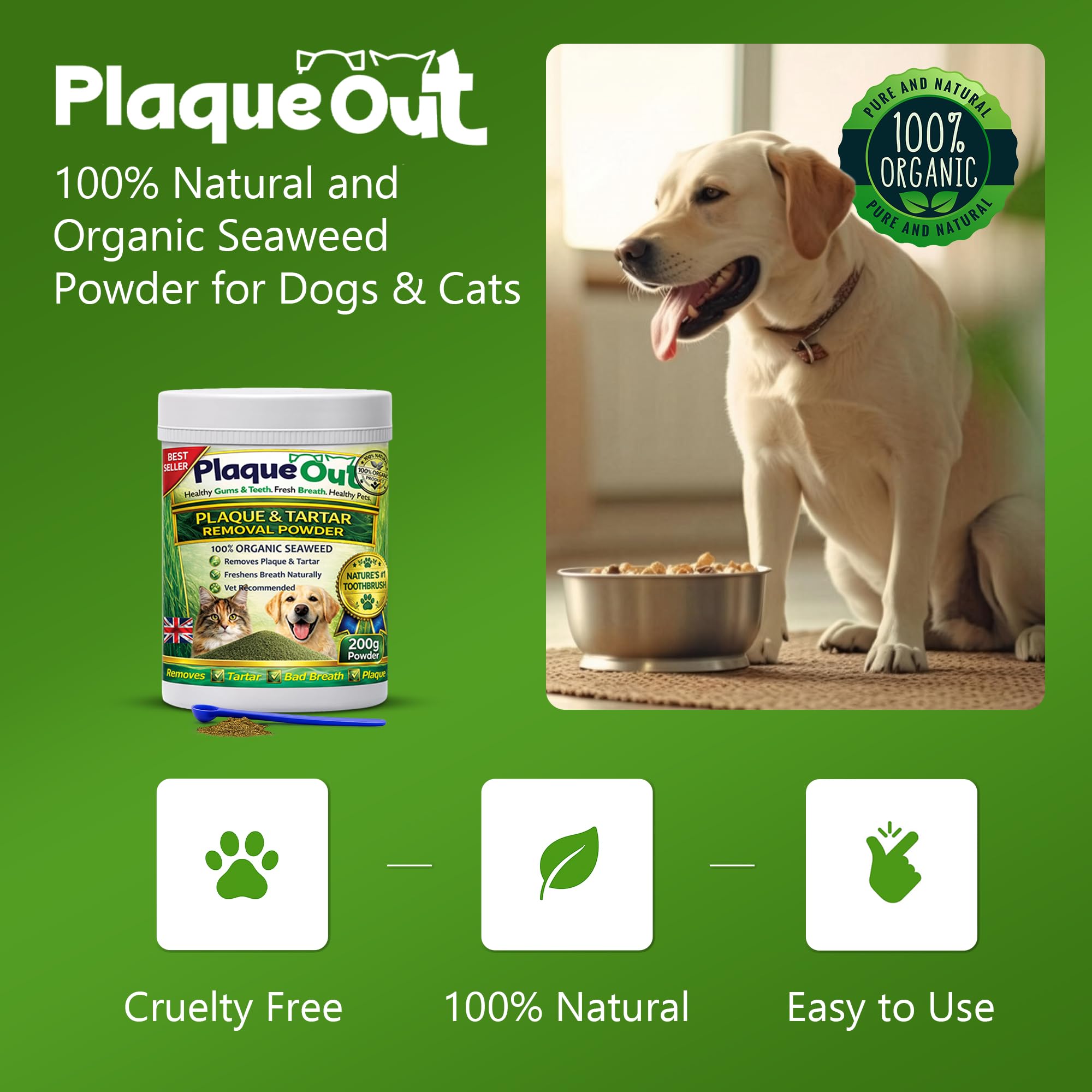 PLAQUE OUT Vasetto da 200 g, per rimuovere la placca tartaro per cani e gatti, 100% naturale e biologico, per la cura dei denti dell'alito cattivo e delle gengive degli animali domestici, vaso più