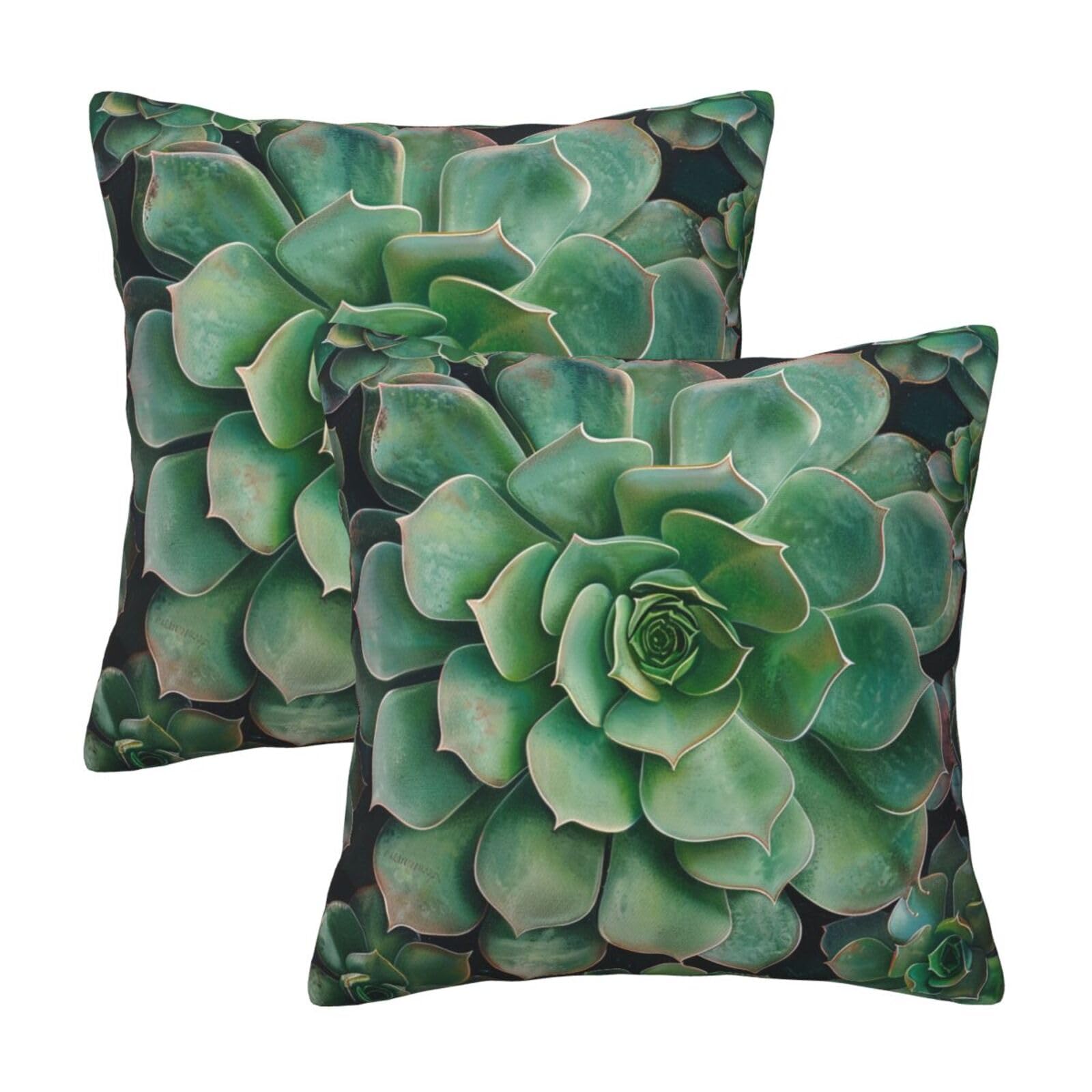 kkvhhyuo Green Succulent Print Pillow Covers Set of 2, Square Decorative Cushion Covers with Hidden Zipper, Throw Pillow Cases for Living Room Sofa Bed Chair, 45x45 cm