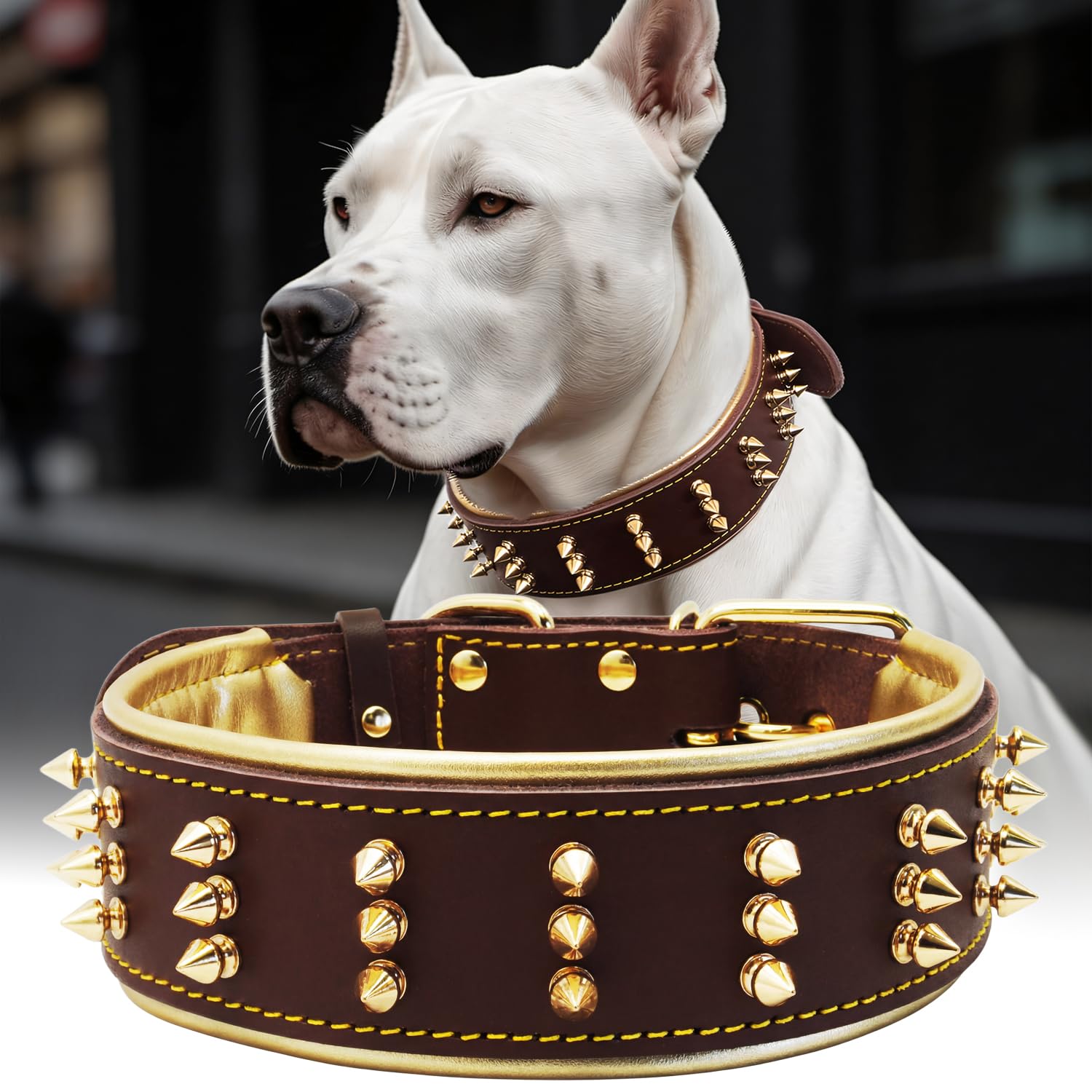 PP COLOR Spiked Leather Dog Collar