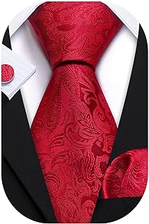 Barry.Wang Paisley Tie Fashion Set Hanky Cufflinks Neckties for Men Woven Silk