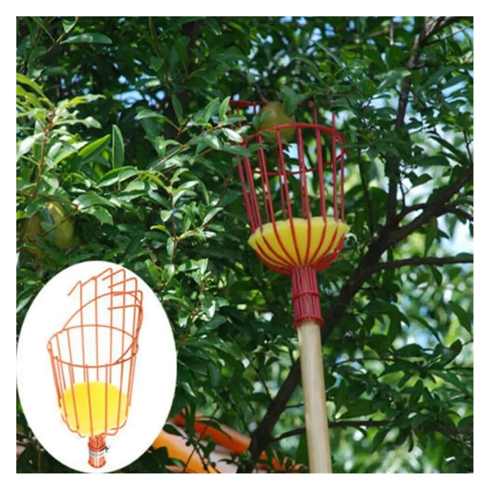 Obstpflücker, Obstpflücker, Korb, Apfel, Orange, Pflaume, Teleskopstange, for Zuhause, Obstgarten, Bauernhof, Garten