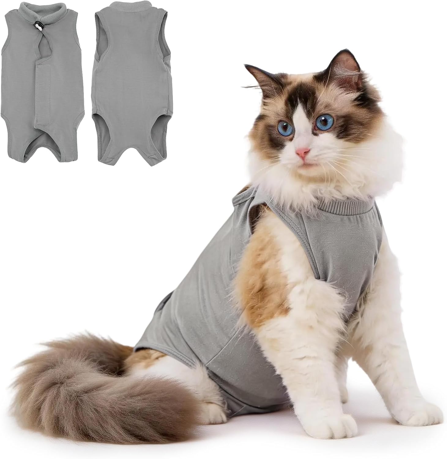 Avont Cat Recovery Suit Female Kitten After Spay Surgery, Breathable Modal Cotton Cat Onesie for Wound & Skin Disease Care, Machine Washable -Purple(L)