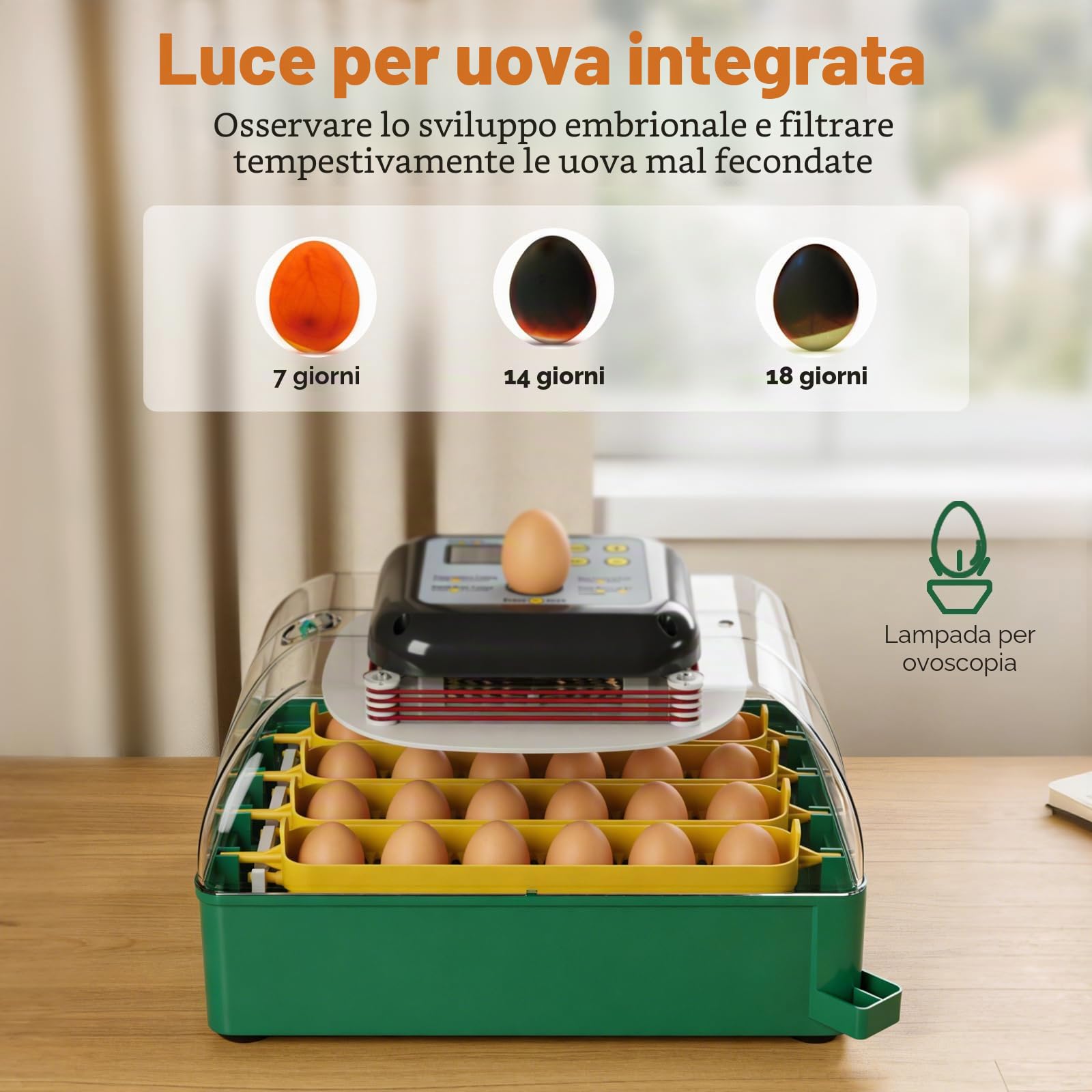 Incubatrice Automatica per 24 Uova con Controllo della Temperatura, Rotazione delle Uova, Sperauova, Incubatrice per Gallina Anatra Quaglie