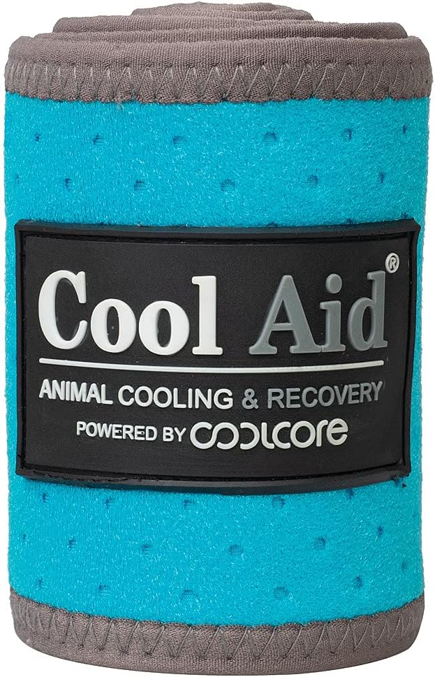 Weaver Leather Cool Aid Equine Cooling Polo Wraps L Turquoise : Pet Supplies
