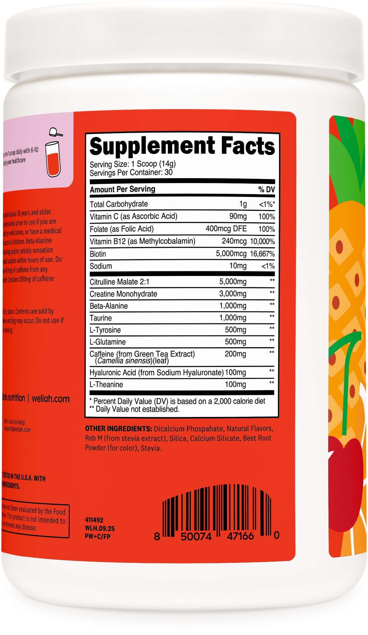 Wellah Pre-Workout + Creatine Powder (30 Servings) Fruit Punch - 200mg Caffeine, 3g Creatine Monohydrate, 5g Citrulline Malate, Pre-Workout with Creatine Supplement