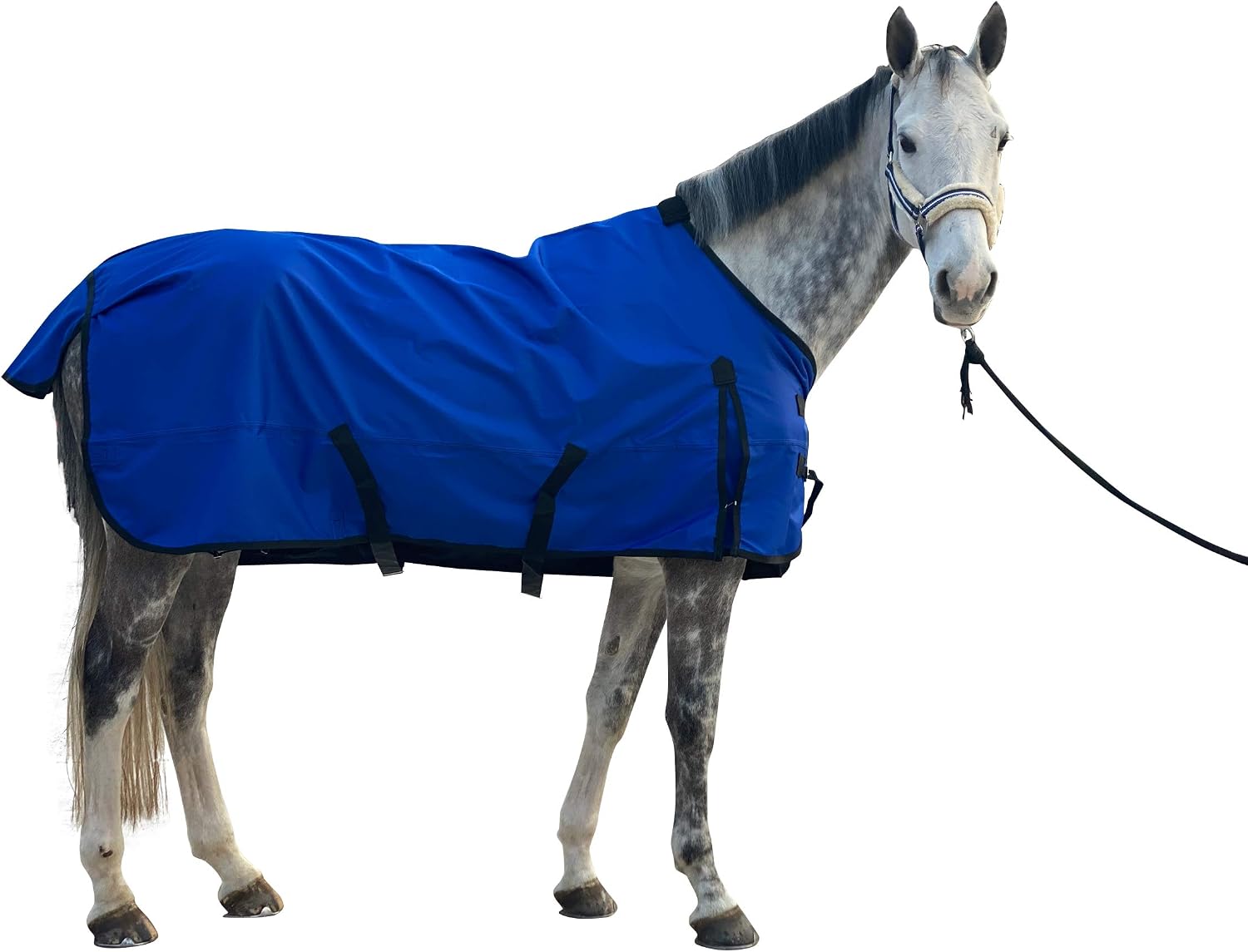 TGW RIDING Comfitec Essential Standard Neck Horse Turnout Sheet 1200D Waterproof and Breathable Horse Rain Sheet Lite (Royal Blue, 76")
