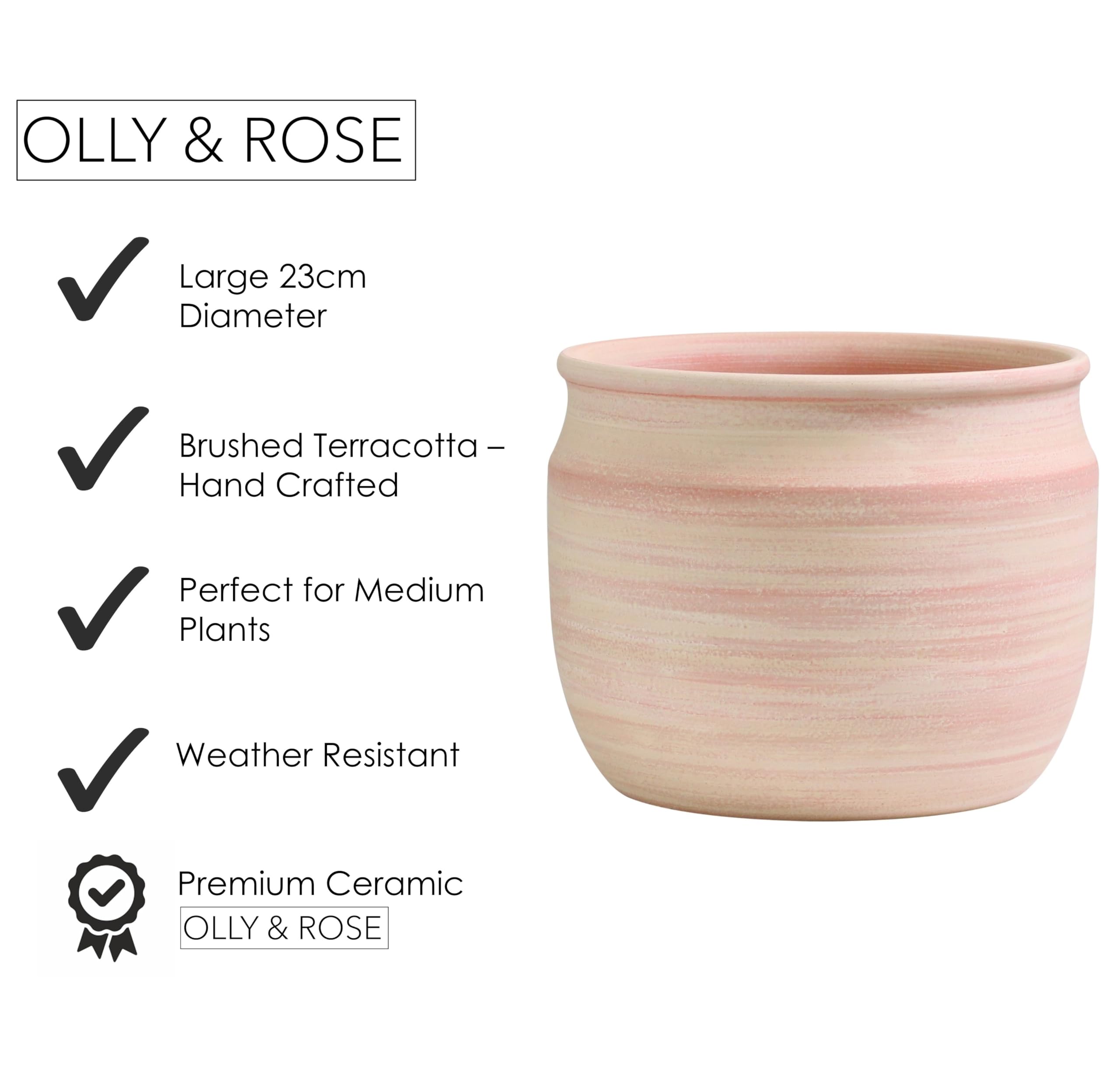Olly & Rose Maceta grande de terracota cepillada, maceta de cerámica de 23 cm, maceta para exteriores e interiores, para el hogar y el jardín