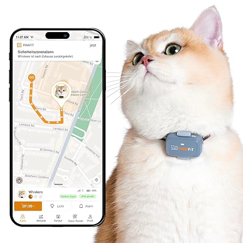 Pawfit Lite GPS-Tracker mit 4G für Katzen | Tracking in Echtzeit | Aktivitätsüberwachung |Standortverlauf | Unbegrenzte Reichweite | Inkl. Halsband mit Klickverschluss | Fliedergrau