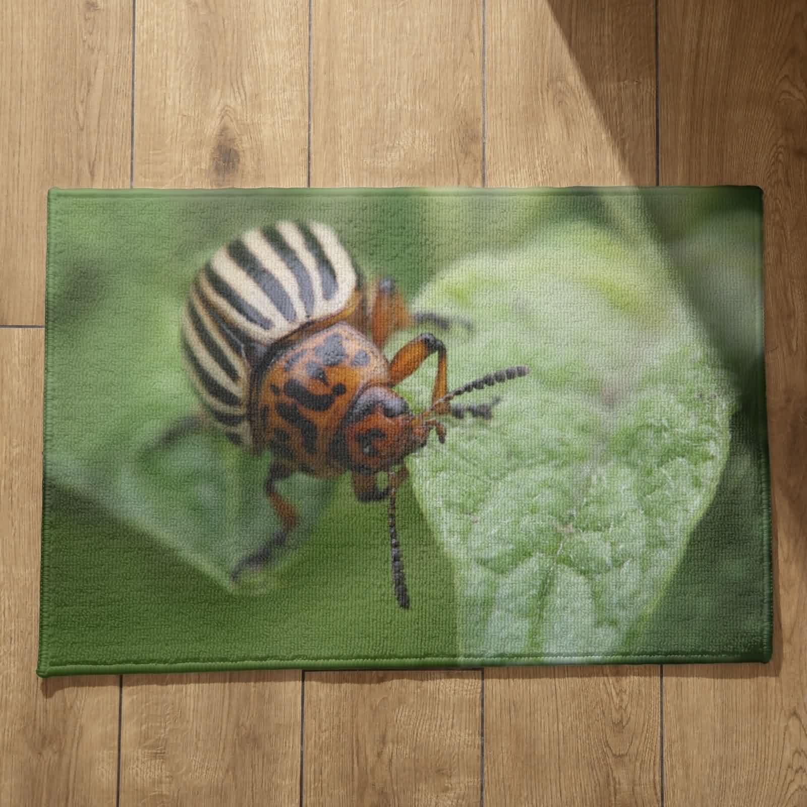 Alfombrillas decorativas antideslizantes grandes 50x80cm alfombra bañera naturaleza liso