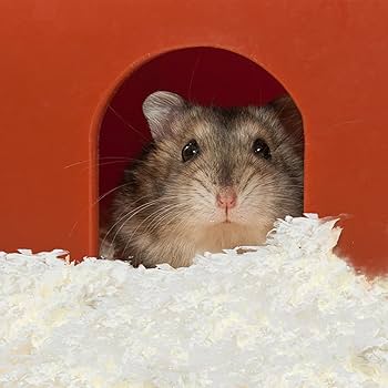 Amazon | LEDMOMO ハムスター 床材 紙 無塵【圧縮パッケージ 大