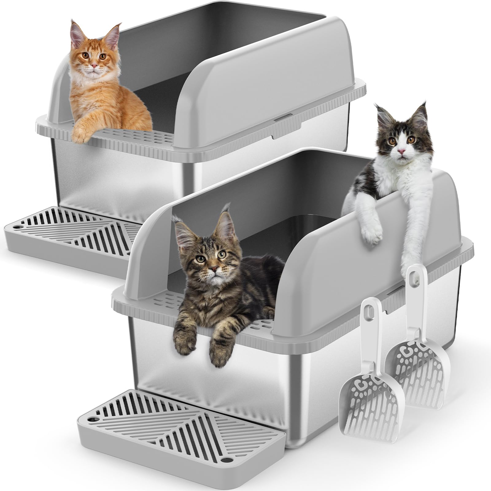 ストレイキャッツFRESH BOX ストレイキャッツFRESH BOX