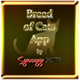 This app contains different breeds of cat.